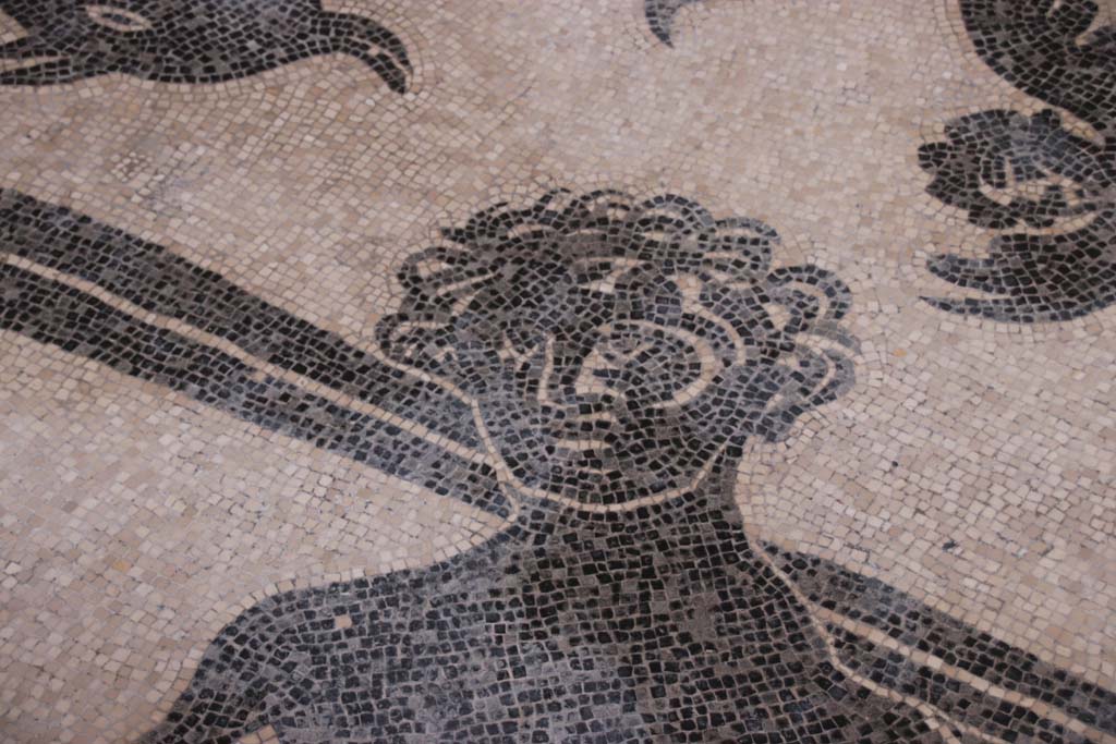 VI.8 Herculaneum. September 2017. Detail of head of Triton from mosaic floori of changing room or apodyterium.
Photo courtesy of Klaus Heese.